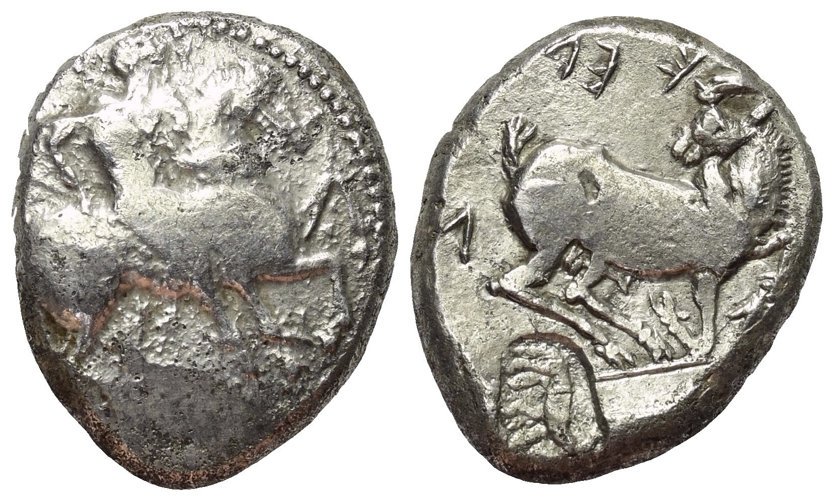 Kelenderis, Type XS.7