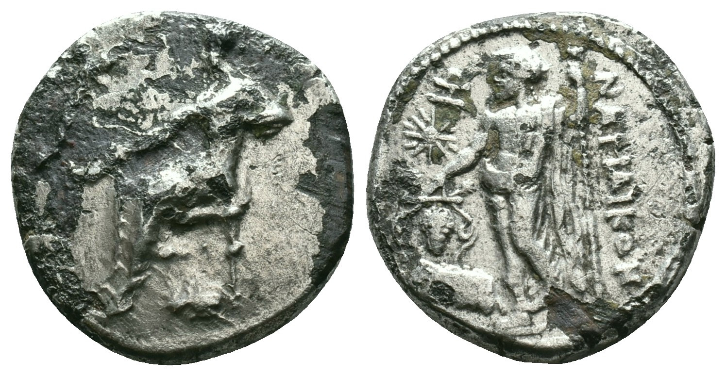 Nagidos, Prototype 3.4f, Specimen 1