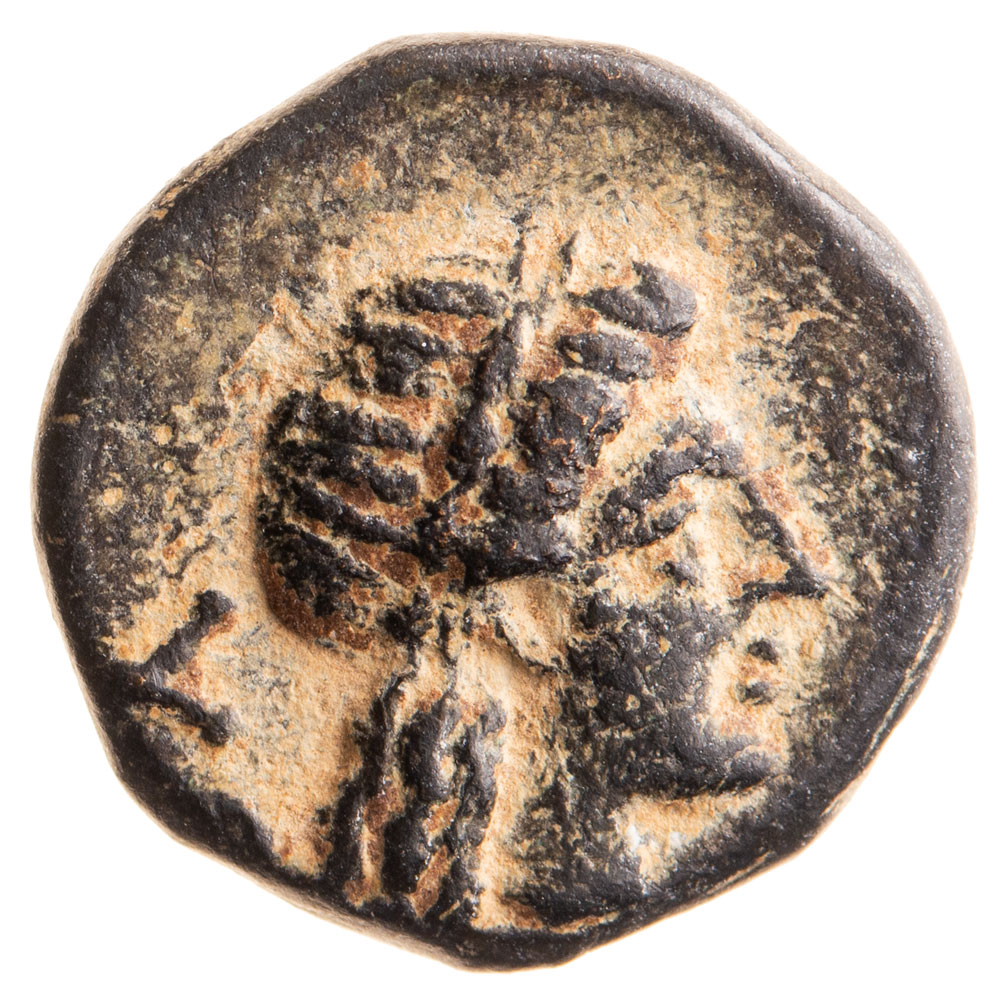 HOL-AE-01, obverse