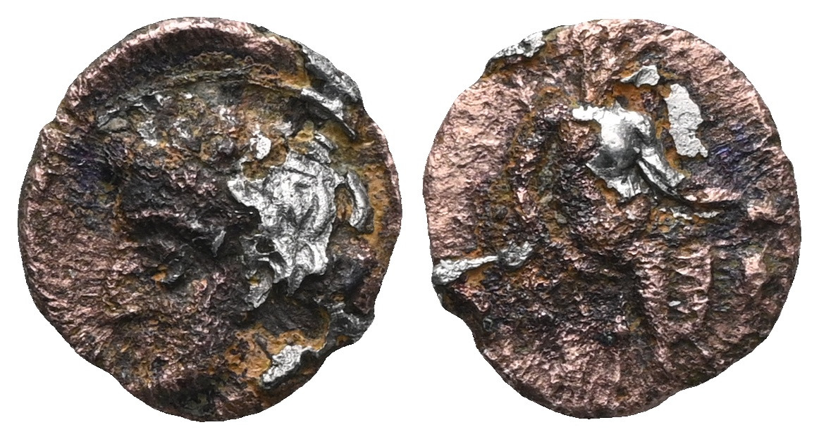 Specimen 1